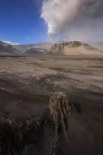 Landscape covered with volcanic ash