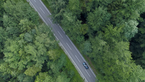istock AERIAL: Dark colored tourist car driving down empty asphalt road in the forest. 1182420063
