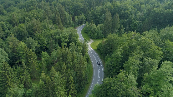 AERIAL: Flying behind a single black car driving down the scenic country road running through the beautiful forest in Slovenia. Cinematic shot of tourists on road trip in the picturesque countryside.
