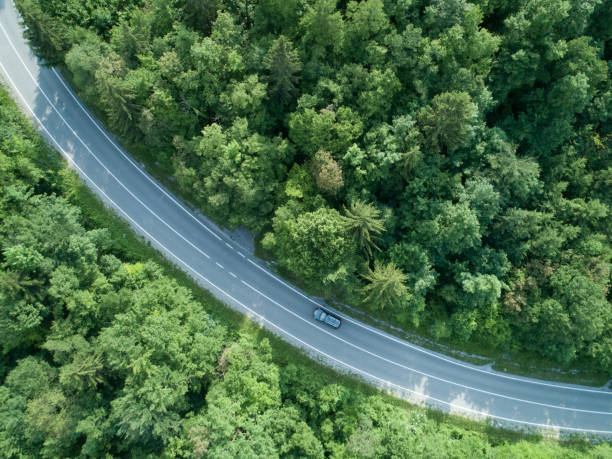 istock AERIAL: Dark car drives through a curve of a road running through a forest. 1182420214
