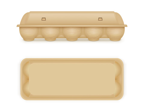 Egg package mock up, blank food tray box container