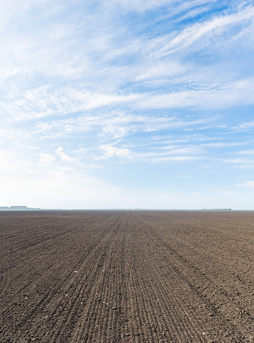 Aerial view of a harvested wheat field