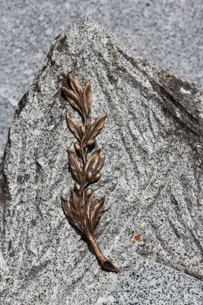 Photo of Branch of olive tree on a gravestone. Graveyard.