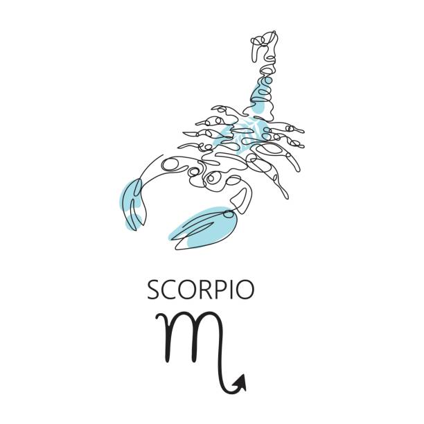 Zodiac sign Scorpio. One line. Vector illustration in the style of minimalism. Zodiac sign Scorpio. One line. Vector illustration in the style of minimalism. Continuous line.The symbol of the astrological horoscope. Hand-drawn illustration. scorpions drawings stock illustrations