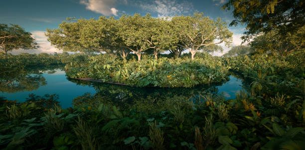 정글 연못의 중간에 판타지 열대 우림 섬. 3d 렌더링 가로 이미지입니다. - ecological reserve tree reflection land feature 뉴스 사진 이미지