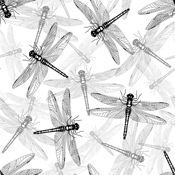 Vector illustration of Black and white dragonfly seamless vector pattern isolated on white background.