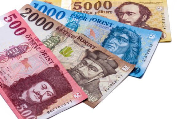 istock Hungary Forint banknotes on white background 1182432020