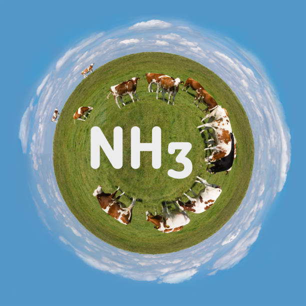 istock Nitrogen cattle greenhouse gas pollution circle 1182432468