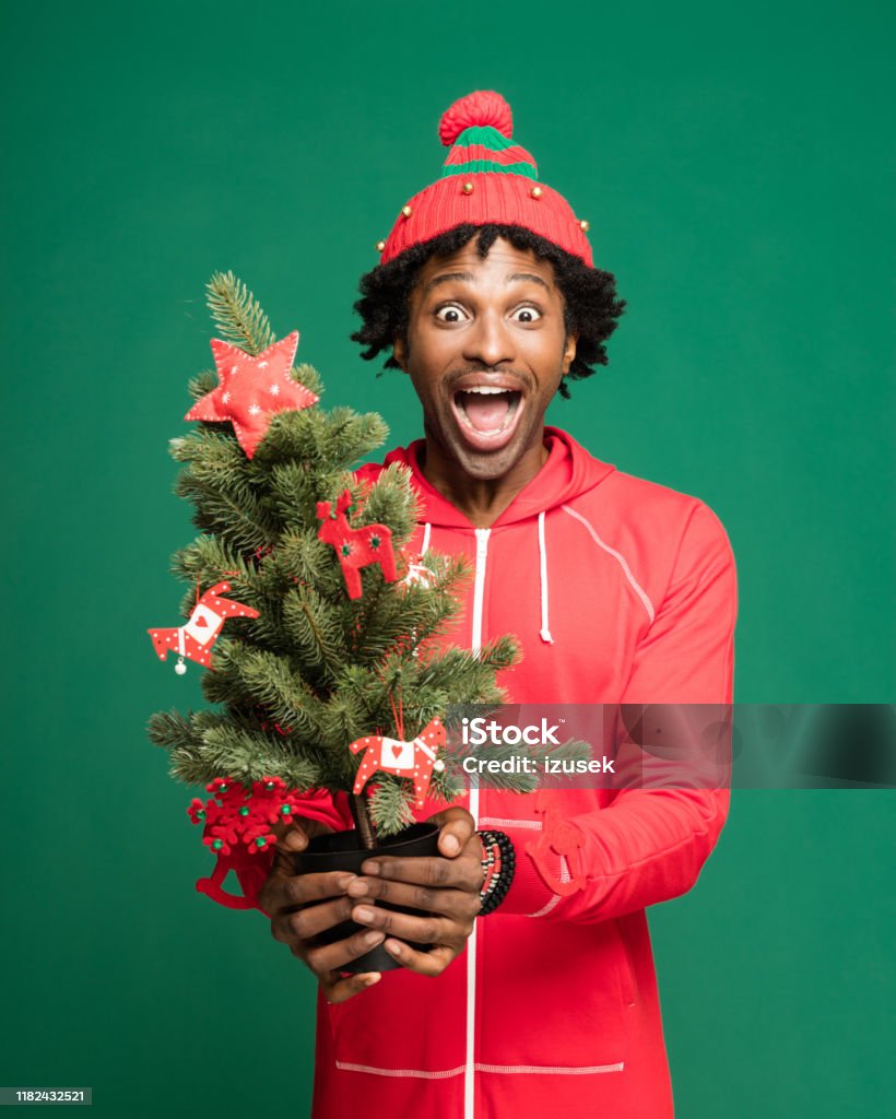 Funny christmas portrait of excited young man holding christmas tree Funny Christmas portrait of young afro American man wearing red pajamas and woolen hat, holding christmas tree and laughing at camera. Studio shot against green background. Christmas Stock Photo