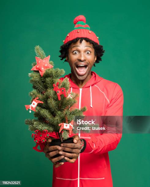Funny Christmas Portrait Of Excited Young Man Holding Christmas Tree Stock Photo - Download Image Now