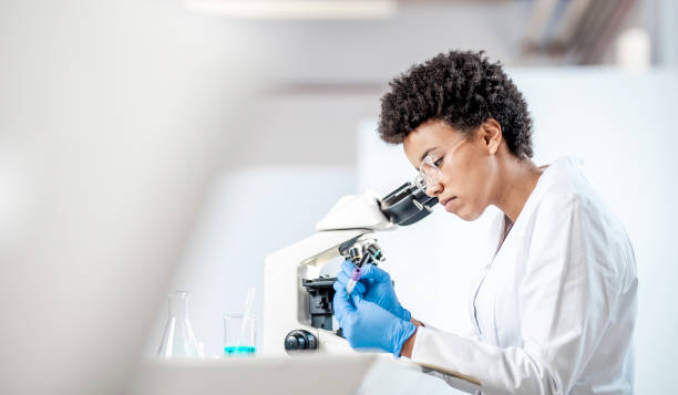 Young Scientist Working in The Laboratory stock photo
