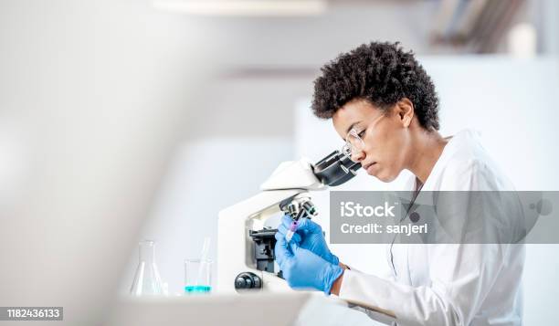 Young Scientist Working In The Laboratory Stock Photo - Download Image Now - Laboratory, Scientist, Research