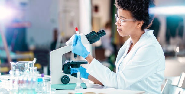 istock Young Scientist Working in The Laboratory 1182436688