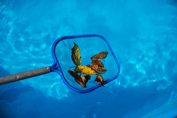 istock Cleaning swimming pool. 1182436955