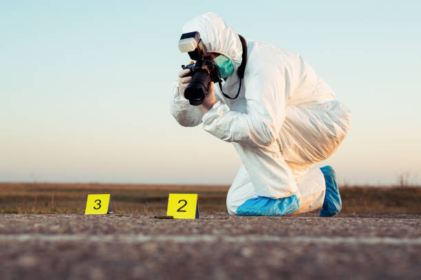 Detective studying a crime scene taking photographs. Detective studying a crime scene taking photographs. crime photos stock pictures, royalty-free photos & images