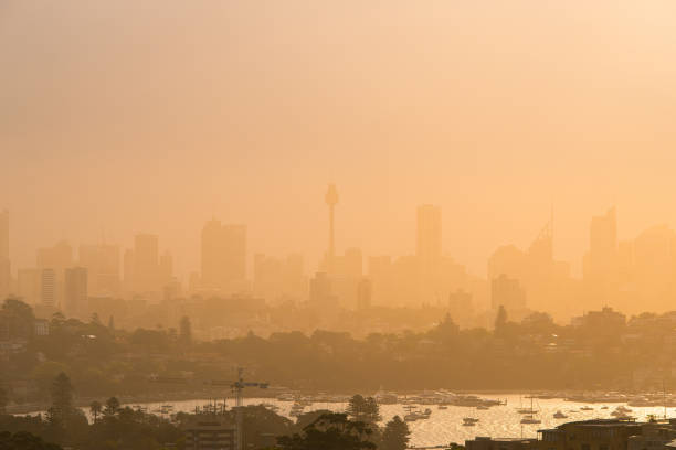 istock Foggy Sydney Sunset 1182439172