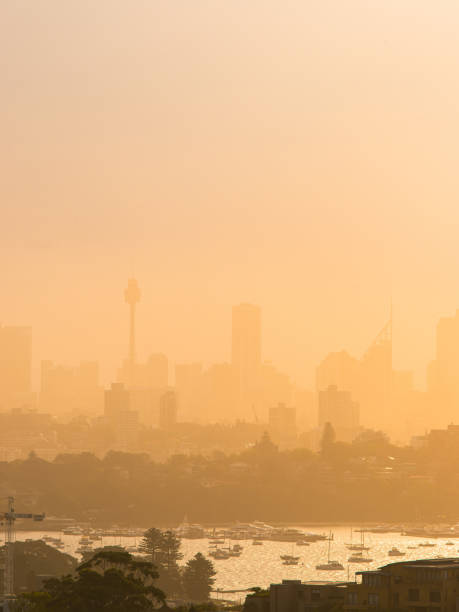 istock Foggy Sydney Sunset 1182439407