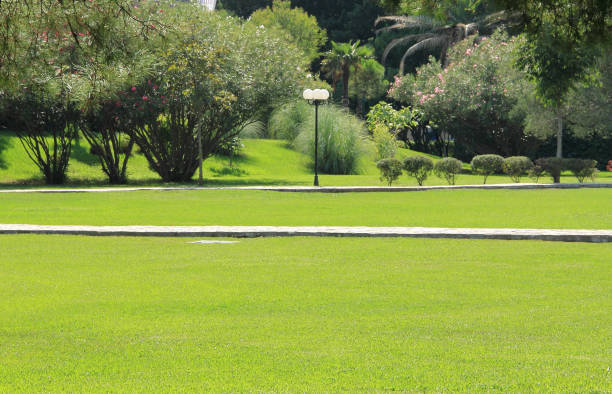 istock Green areas on the coastal city Budva 1182439721