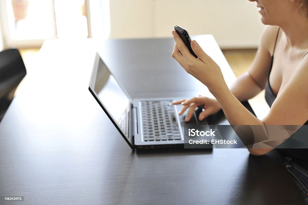 Businesswoman Housewife working on Laptop Computer Unrecognizeable woman holding a pda and typing on a laptop computer Adult Stock Photo
