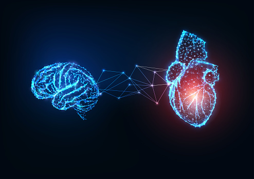 Futuristic glowing low polygonal connected human organs brain and heart on dark blue background. Emotions and intellect balance and harmony concept. Modern wire frame design vector illustration.