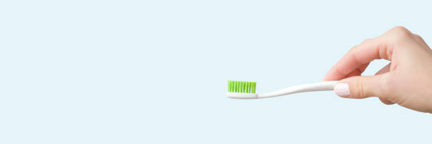 молодая женщина стороны проведения новой белой зубной щеткой с зеленой щетиной на светло-пастельных синий фон. концепция гигиены зубов. ма� - bristle brush part стоковые фото и изображения