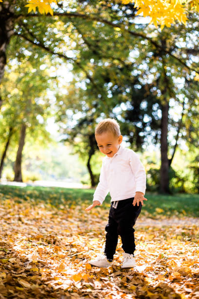 istock Young boy is playing and trowing leaves in park 1182442062