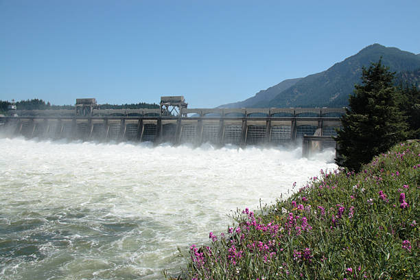 istock Bonneville Dam 118244255