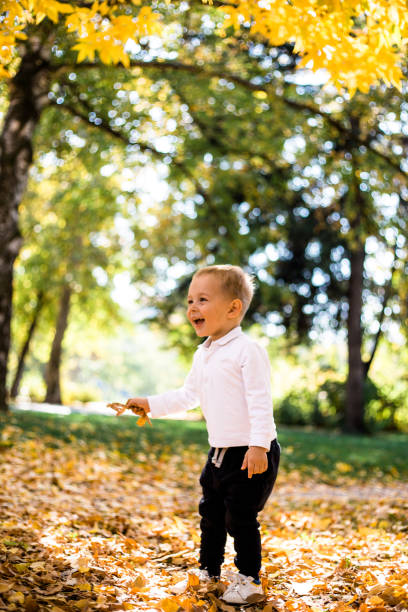 istock Young boy is playing and trowing leaves in park 1182442805