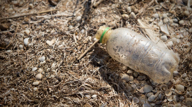 istock Dirty indecomposable plastic bottle on seaside, copy space 1182446006