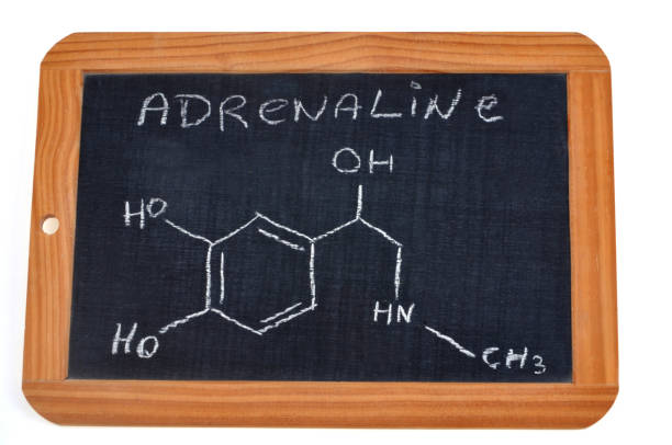 istock Chemical formula of adrenaline 1182446244