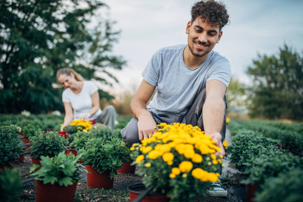 istock Nursery flowers in the garden 1182447710