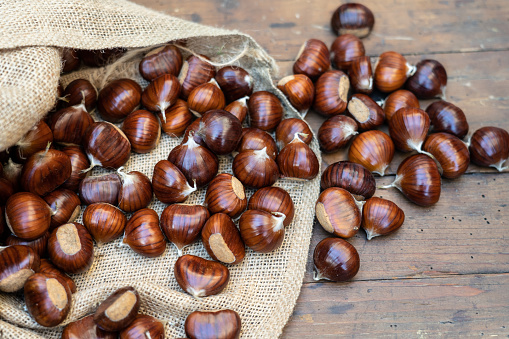 Fresh chestnuts in a jute sack bag