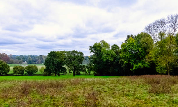 widok na łąkę wodną nad tamizą w runnymede, surrey, wielka brytania - lag zdjęcia i obrazy z banku zdjęć