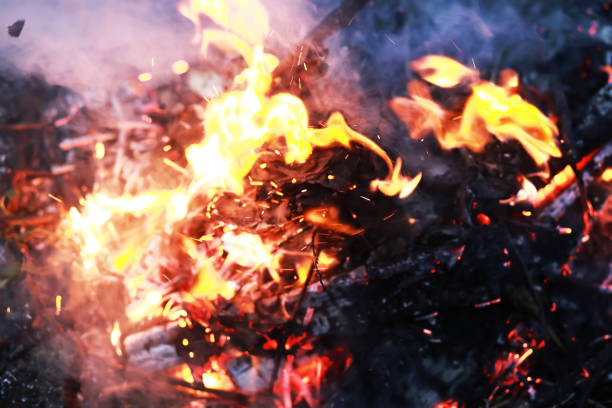 istock Bonfire in nature. Campfire with flame and coal. 1182455788