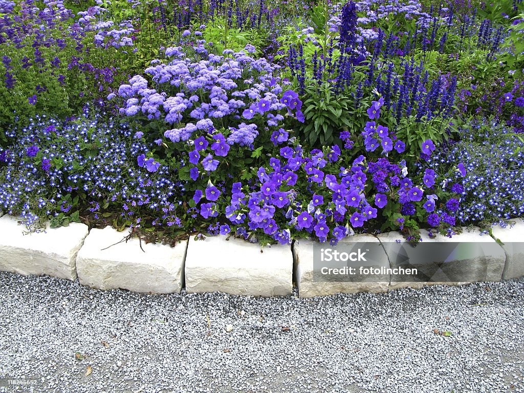 Flieder flowerbed - Lizenzfrei Hausgarten Stock-Foto