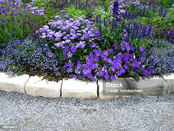 Flieder Flowerbed Stockfoto und mehr Bilder von Hausgarten - Hausgarten, Lila, Petunie