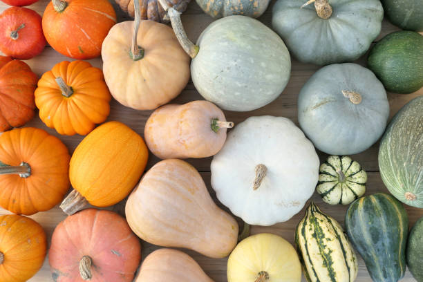 istock Colorful collection of pumpkins and squashes 1182456829