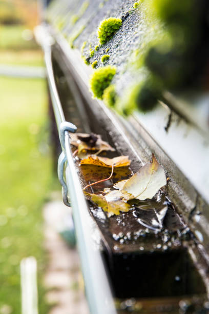 istock Rainwater gutter cleaning concept. Clogged rainwater drainage system on private domestic home house roof outdoors in autumn. Autumn chores concept. 1182456995