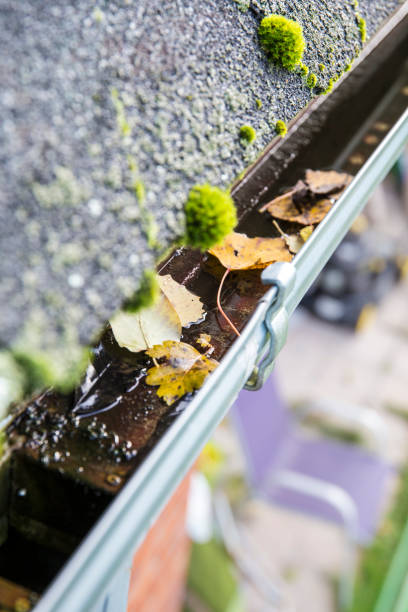 istock Rainwater gutter cleaning concept. Clogged rainwater drainage system on private domestic home house roof outdoors in autumn. Autumn chores concept. 1182457003