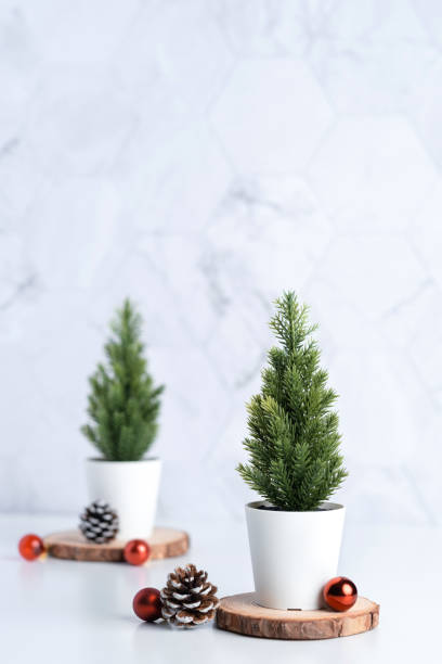 istock christmas tree with pine cone and decor xmas ball on white table and marble tile wall background.clean minimal simple style.holiday still life mockup banner with space to adding text 1182457464
