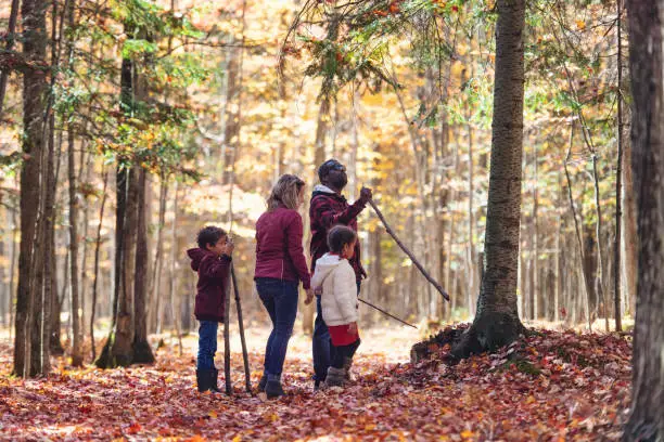 Mixed race family taking a walk in the wood, during autumn, Quebec, Canada