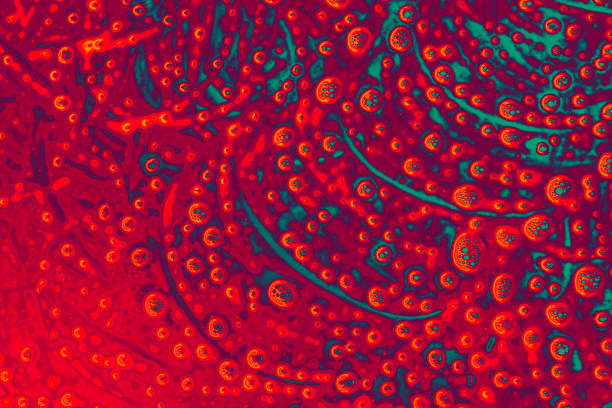 Air bubbles inside water base form patterns