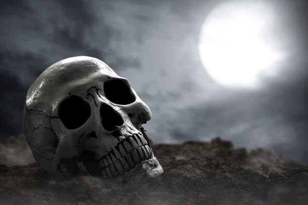 istock Scary human skull, halloween theme 1182458441