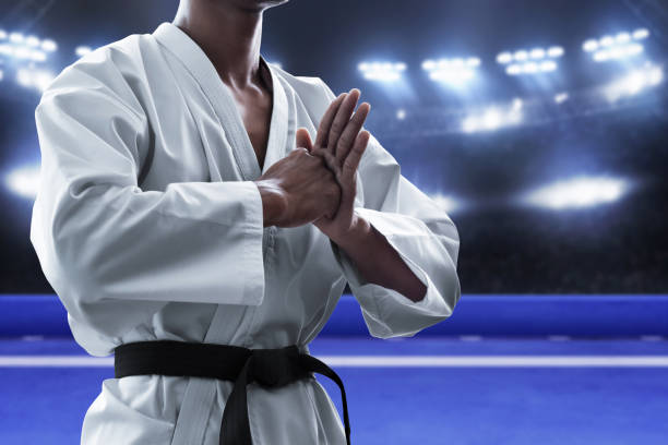 istock Karate martial arts fighter in arena 1182458519