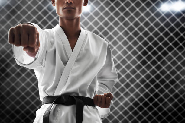 istock Karate martial arts fighter training 1182458998