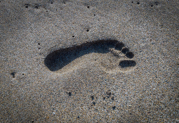 모래에 남성 발자국 - men footprint beach sunset 뉴스 사진 이미지