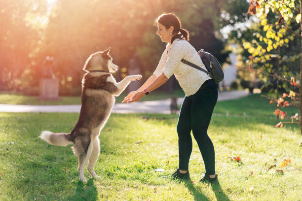 istock Playtime in the park 1182460305