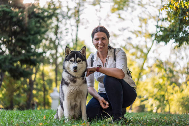 istock Beautiful Siberian husky with his owner 1182460306