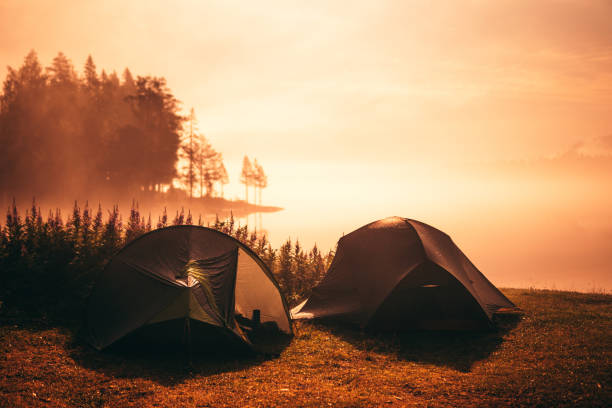 istock Tents in the woods 1182460586