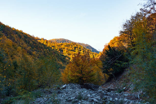 istock Mountain gorge in the autumn 1182460715